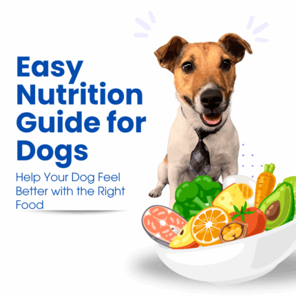 The Pixel Method:  Dog Nutrition Guide